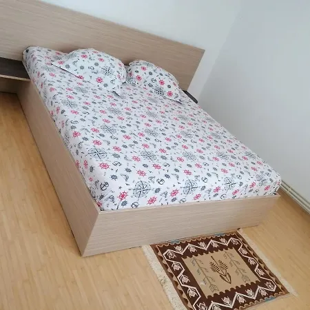 Apartament Zorelelor Apartment *